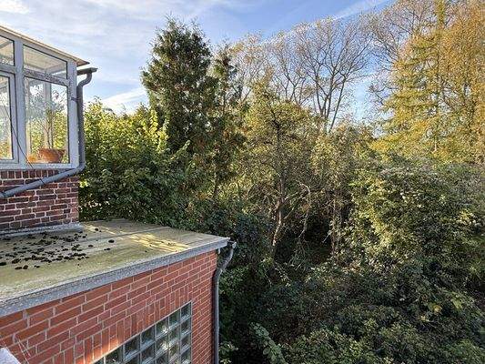 Blick auf den Garten