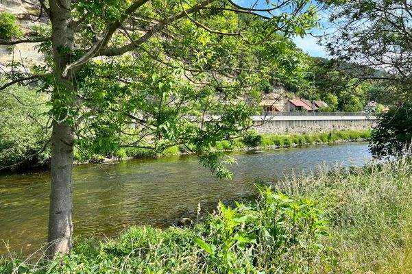 Park direkt am Wasser