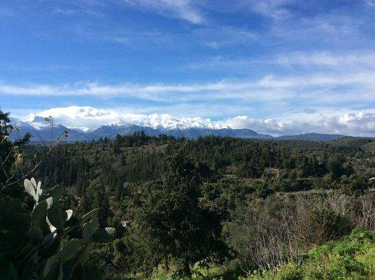 Land-Plot-With-Building-Permit-For-Sale-In-Chania-