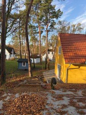 Blick vom Hochsitz.jpg