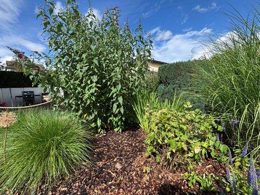 Teil der Aussenanlage