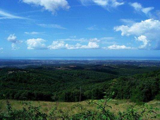 phpThumb_generated_thumbnail (9).jpeg