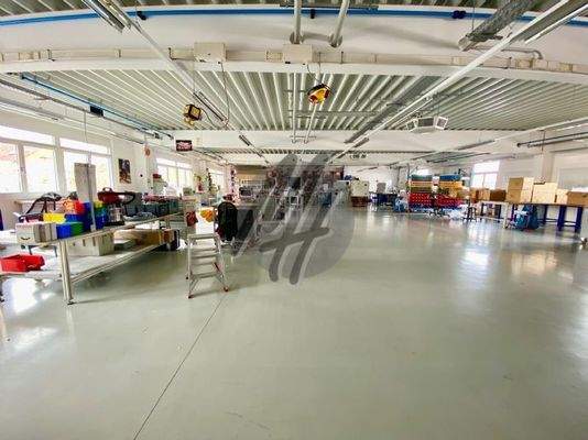 INFOS UNTER: 06171-586000