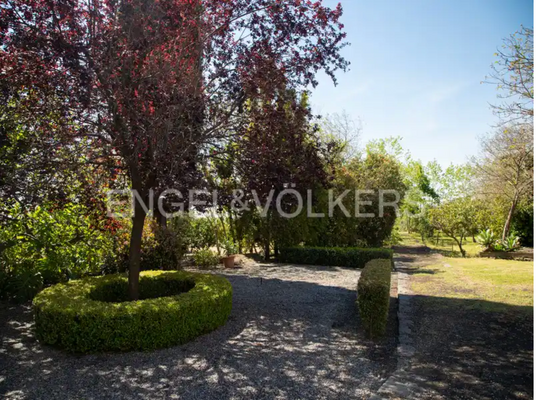 Schermata 2024-08-26 alle 14.33.03.png