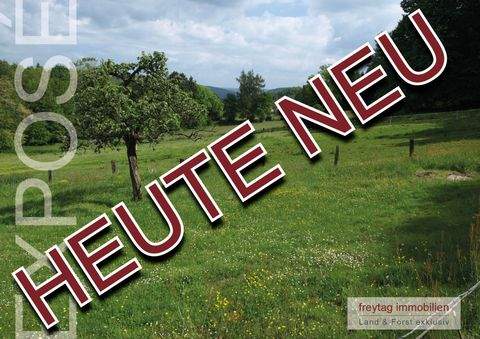 Bodenfelde Häuser, Bodenfelde Haus kaufen