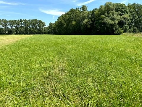 Bad Windsheim Bauernhöfe, Landwirtschaft, Bad Windsheim Forstwirtschaft