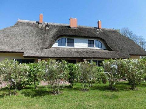 Poseritz Häuser, Poseritz Haus kaufen