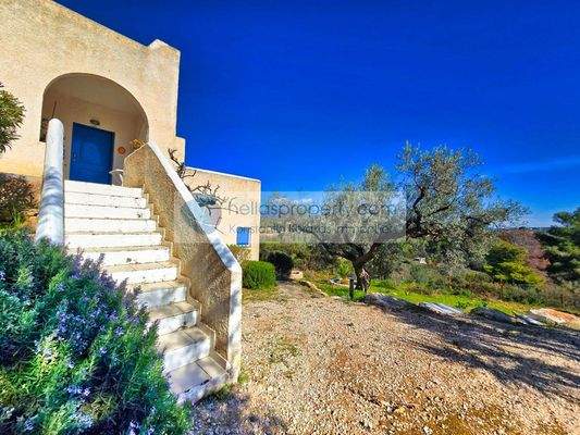 ea065a926bcc4f9290592d2d4fcbeead-original