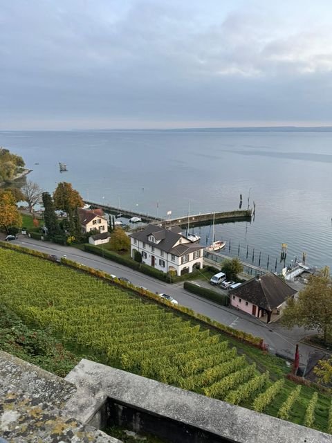 Meersburg Gastronomie, Pacht, Gaststätten