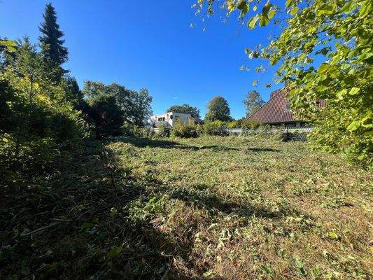 SCHRICK IMMOBILIEN: Volksdorf