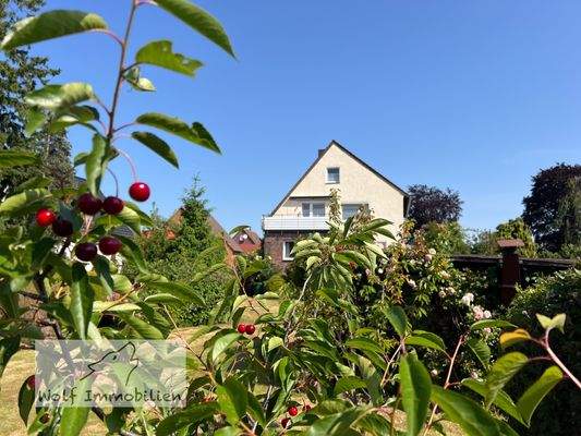 Großer Obstgarten mit Rosen