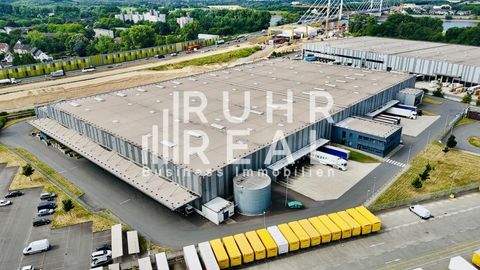 Duisburg Halle, Duisburg Hallenfläche