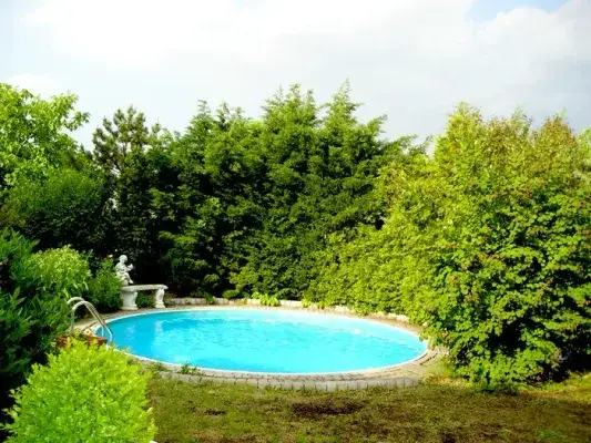 Garten,-Pool_w.jpg