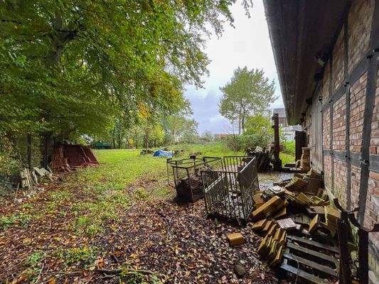 Grüne Wiese für Tierhaltung