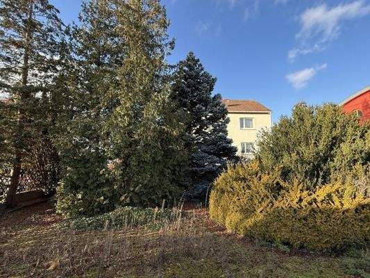 Gartenbereich - Blick zum Haus