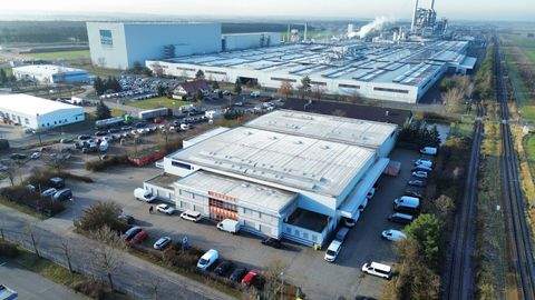 Lampertswalde Halle, Lampertswalde Hallenfläche