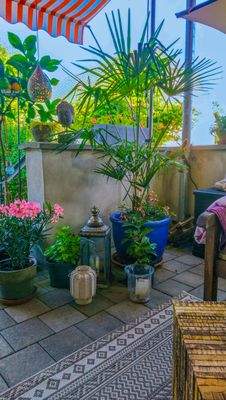 Blick von der Terrasse