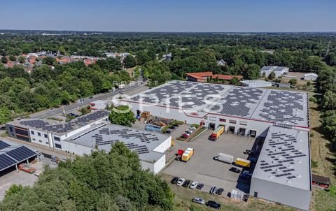 Oldenburg Halle, Oldenburg Hallenfläche