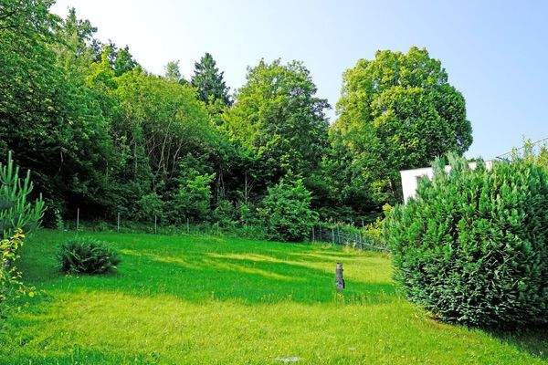 Blick auf das südliche Grundstück