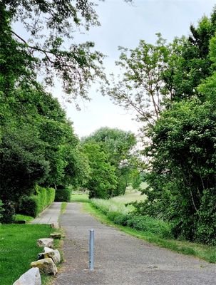 Natur direkt neben dem Haus