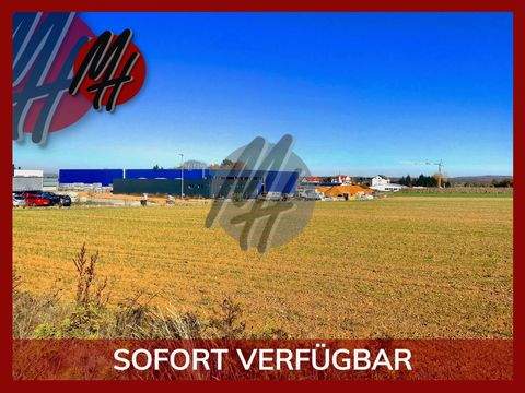 Büttelborn Industrieflächen, Lagerflächen, Produktionshalle, Serviceflächen