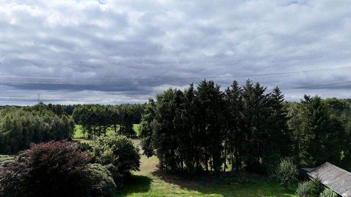 Blick auf die hinteren Weiden