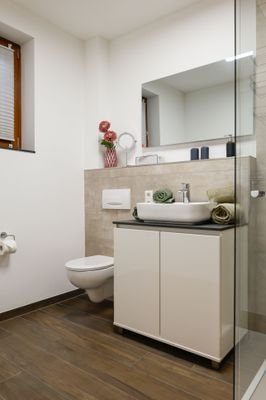 Einlieger Badezimmer Toillette.jpg