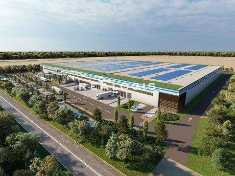 Magdeburg Halle, Magdeburg Hallenfläche