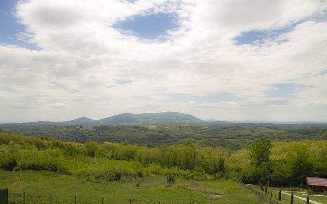 WhatsApp Image 2024-10-15 at 12.27.43 (1)