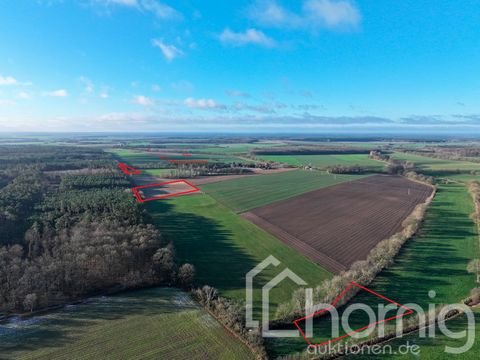 Stolpe / Granzin Bauernhöfe, Landwirtschaft, Stolpe / Granzin Forstwirtschaft