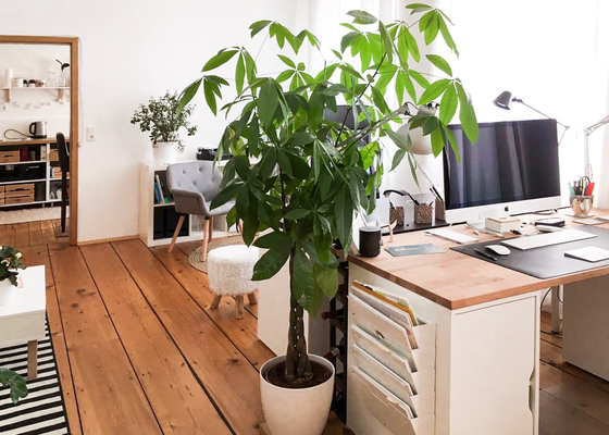 Einrichtungsbeispiel