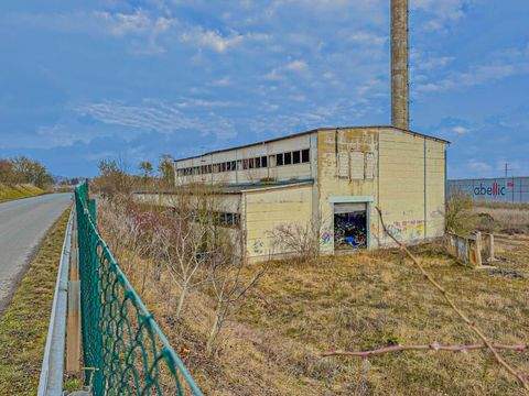 Sangerhausen Industrieflächen, Lagerflächen, Produktionshalle, Serviceflächen