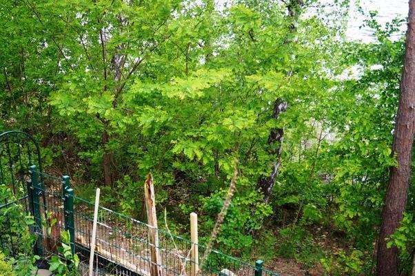 Uferweg Wasserzugang