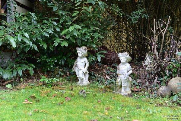 Garten Detail