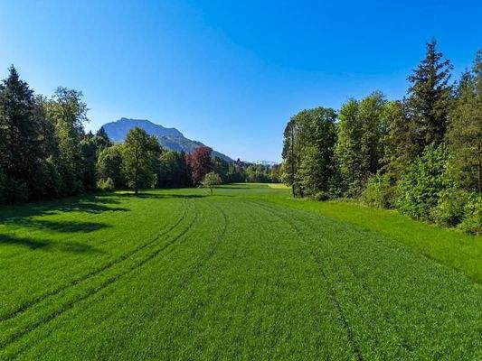 59_DJI_20250502100329_0322_D