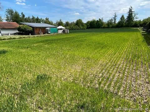 Niederwinkling / Buglau Grundstücke, Niederwinkling / Buglau Grundstück kaufen