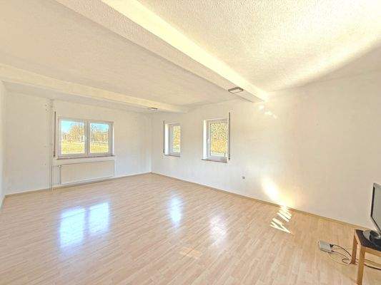 Großes und lichtdurchflutetes Wohnzimmer