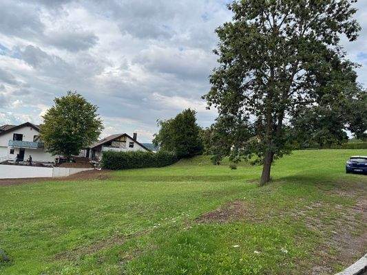 Grünfläche in der Nachbarschaft