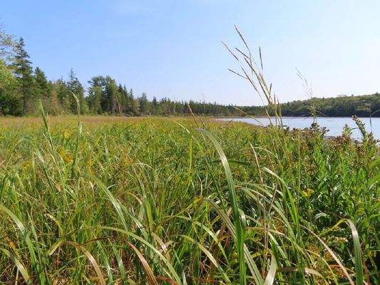 Cape Breton - Cleveland - Wunderschönes See-Ufer-G