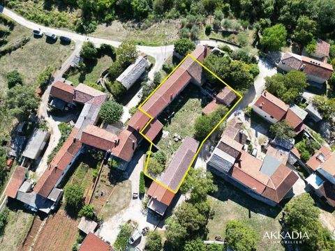 Sorgi Renditeobjekte, Mehrfamilienhäuser, Geschäftshäuser, Kapitalanlage