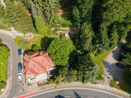 Blick auf den Hang (3)