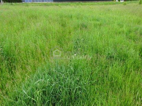 Horn Grundstücke, Horn Grundstück kaufen