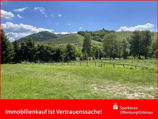 Leben, wo andere Urlaub machen!