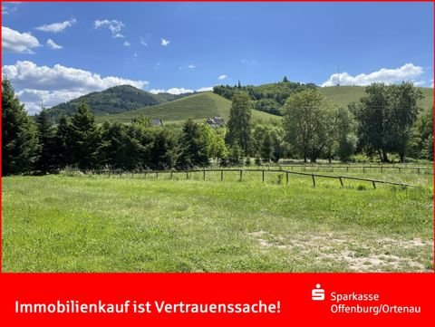 Durbach Grundstücke, Durbach Grundstück kaufen
