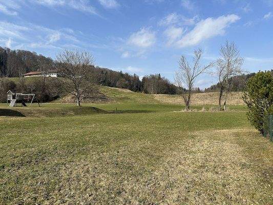 Weitere Impressionen vom Grundstück