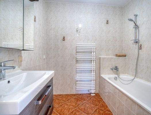 HP6-2-Zimmer-Wohnung- Elisabeth-Vorstadt-Badezimmer