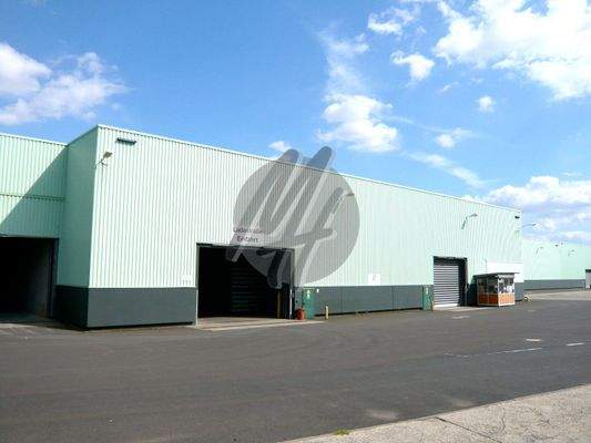 INFOS UNTER: 06171-586000