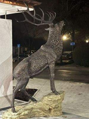 Hubertushof bei Nacht