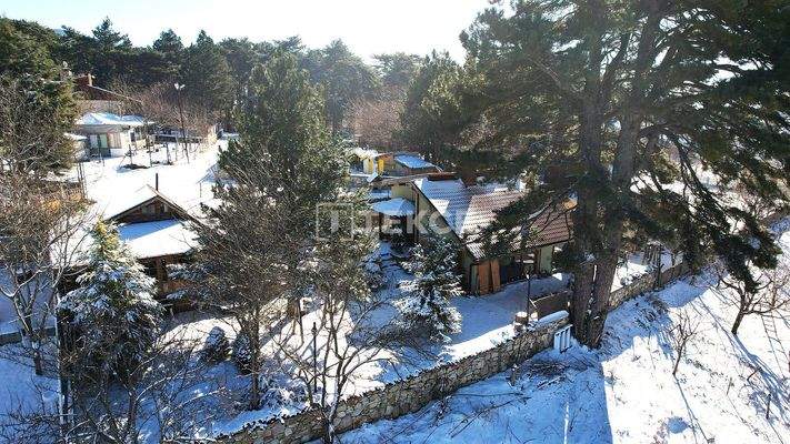 Detached Homes Intertwined with Nature on Uludag Road in Bursa