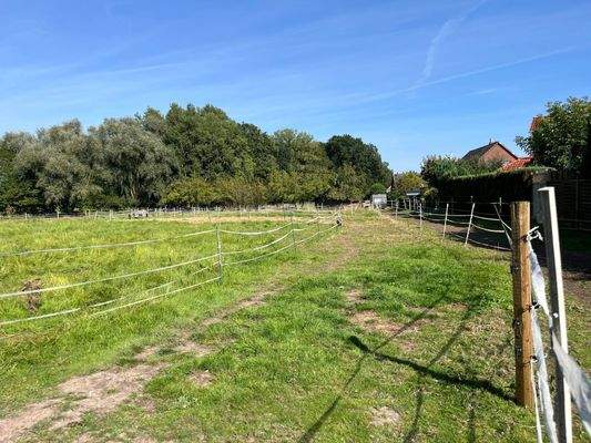 Weiden/Außenbereich